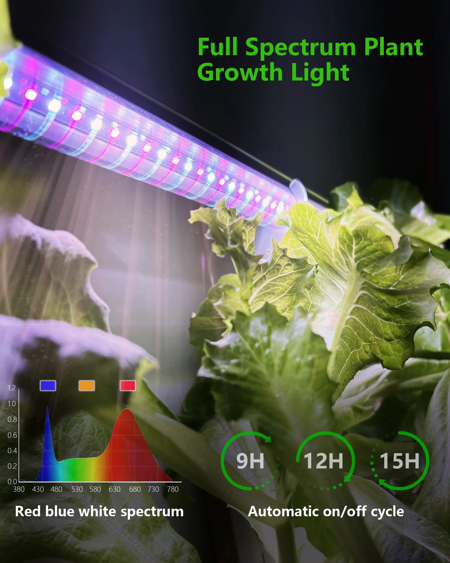 Wall Vertical NFT Hydroponic Growth System With Grow Light