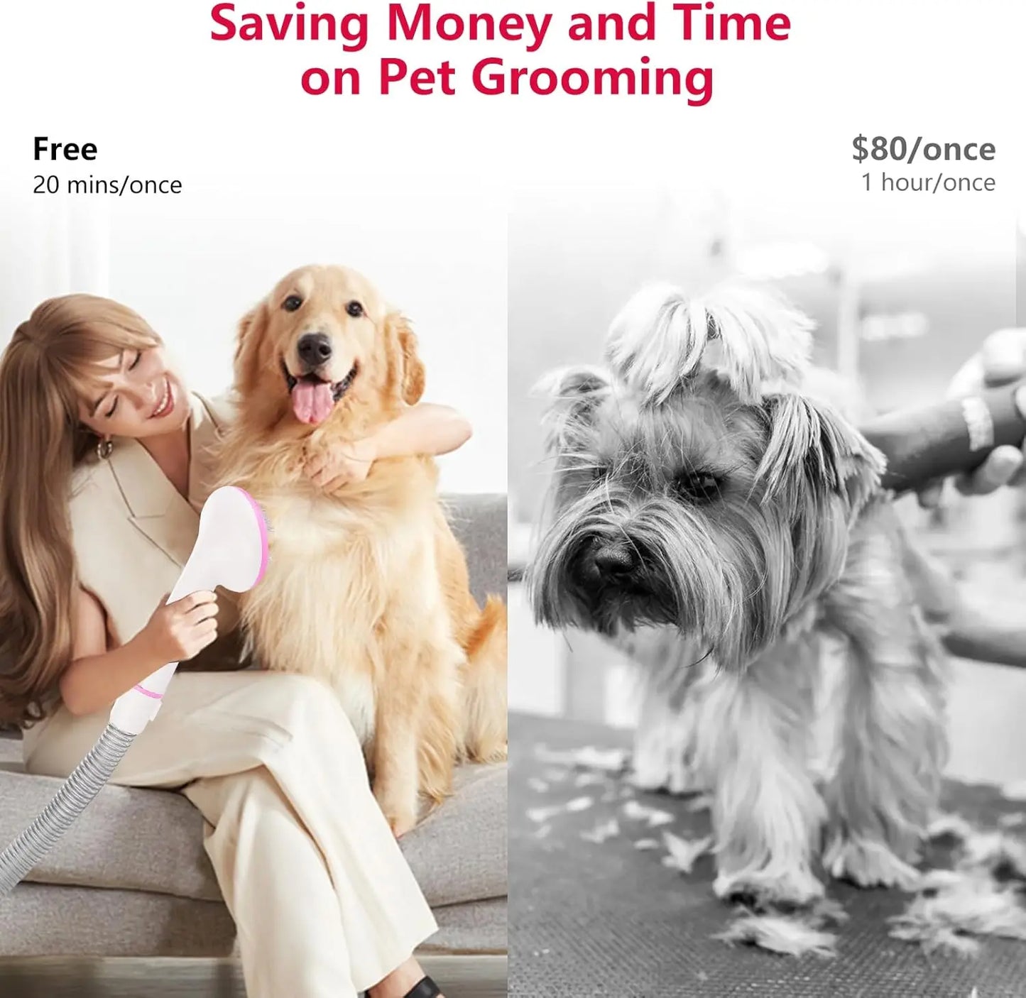 Pet Grooming Vacuum, Multi-Functional Dog Hair Groomer