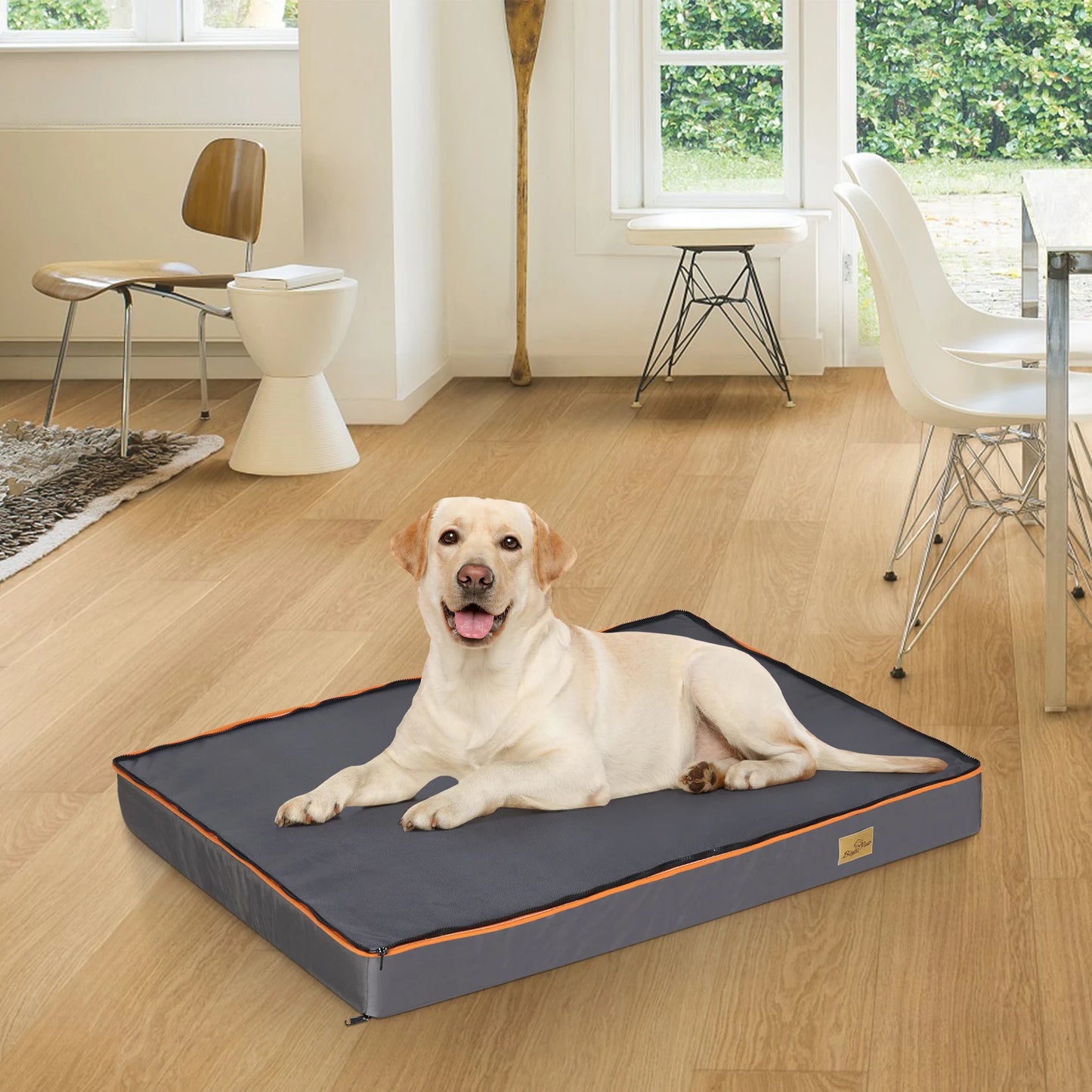 Large Orthopedic Dog Bed with Padded Foam Cushion and Washable Cover