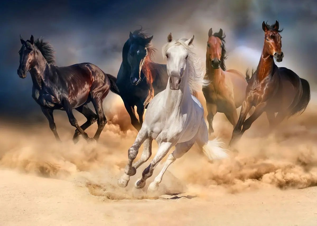 Beautiful Running Horses Canvas Painting Animal and Prints Wall Art Pictures for Living Room Office Home Decor Cuadros