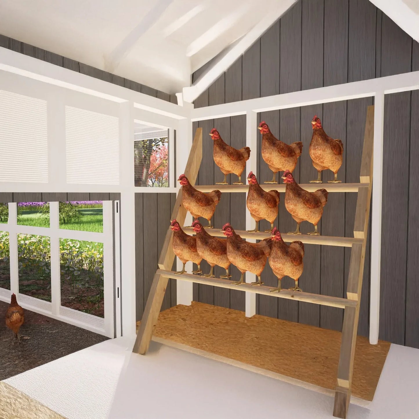 Printed Chicken Coop Blueprints for 24 Backyard Chickens