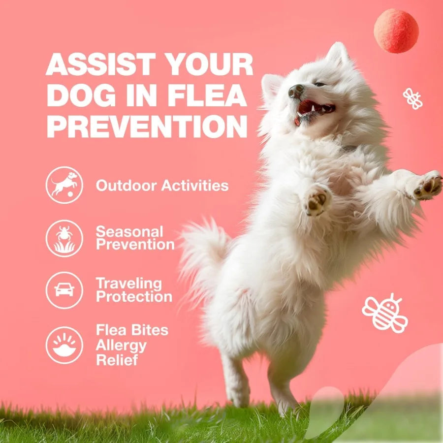 Flea And Tick Treatment Chews For Dogs Natural Preventive