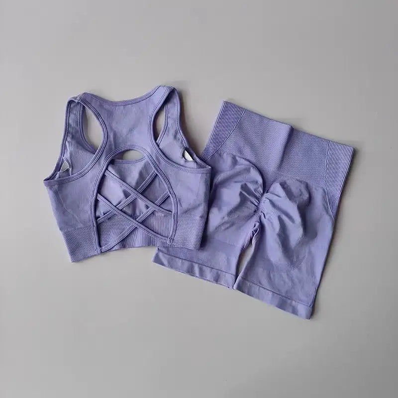 Summer Women's Seamless 2 Piece High Waist Yoga Set Stretchy Fabric Sport Bra Shorts for Gym Workout