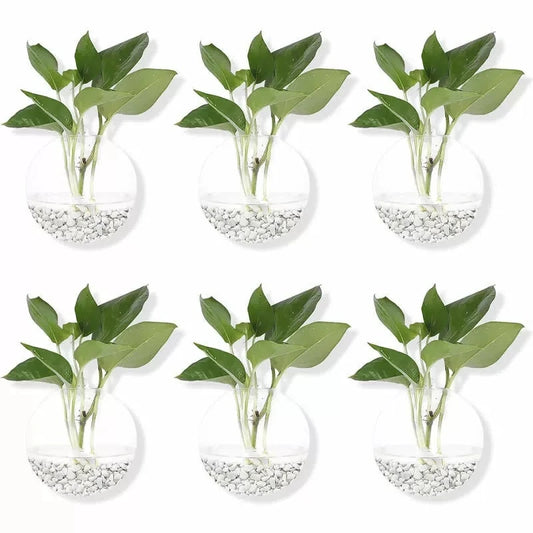 2/4/6/8 Pack Wall Hanging Glass Terrarium - Self-Watering Hydroponic Planter for Home Office Decor, Handmade Round Crystal Vase