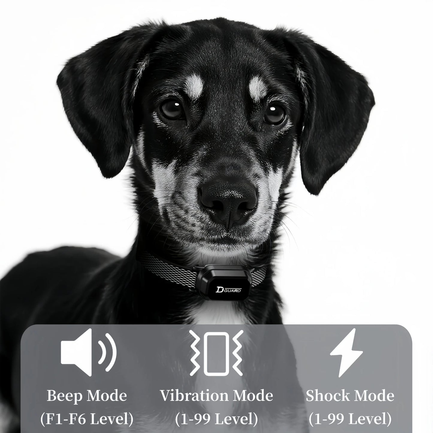 Waterproof Remote Dog Training Collar With Shock And Vibration