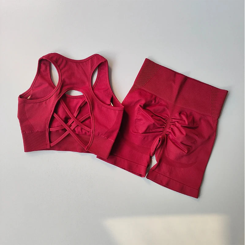Summer Women's Seamless 2 Piece High Waist Yoga Set Stretchy Fabric Sport Bra Shorts for Gym Workout