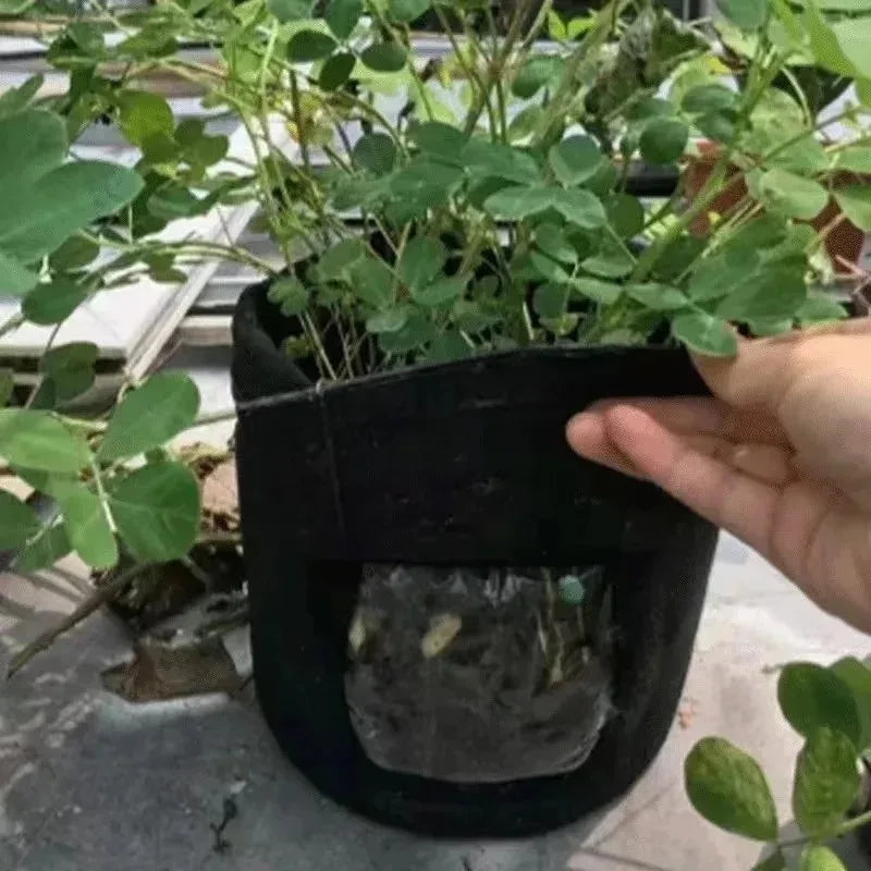 3Styles Felt plant grow bags nonwoven fabric garden potato pot greenhouse vegetable growing bags moisturizing vertical tools