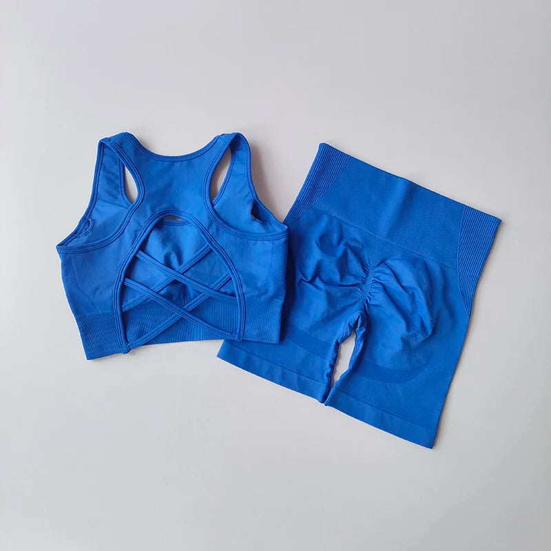 Summer Women's Seamless 2 Piece High Waist Yoga Set Stretchy Fabric Sport Bra Shorts for Gym Workout
