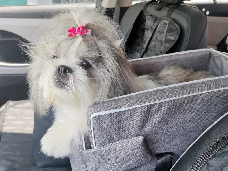 Protective Nylon Pet Car Seat And Travel Carrier Bed