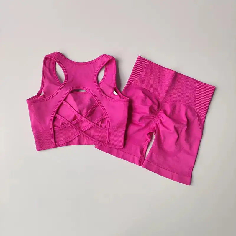 Summer Women's Seamless 2 Piece High Waist Yoga Set Stretchy Fabric Sport Bra Shorts for Gym Workout