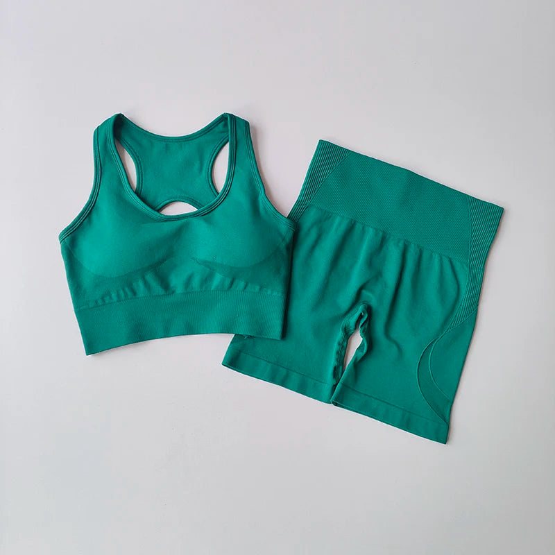 Summer Women's Seamless 2 Piece High Waist Yoga Set Stretchy Fabric Sport Bra Shorts for Gym Workout