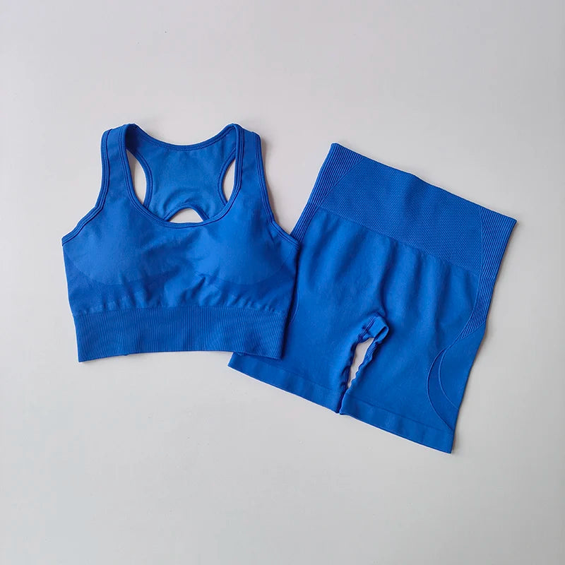 Summer Women's Seamless 2 Piece High Waist Yoga Set Stretchy Fabric Sport Bra Shorts for Gym Workout