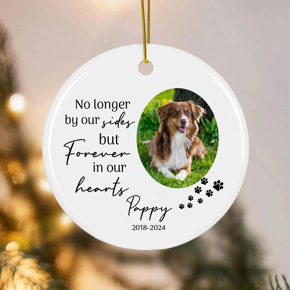 Personalized Pet Cat Dog Memorial Ornament Custom Dog Ornament Christmas Gifts for Dog Owners Pet Lovers Room Decor