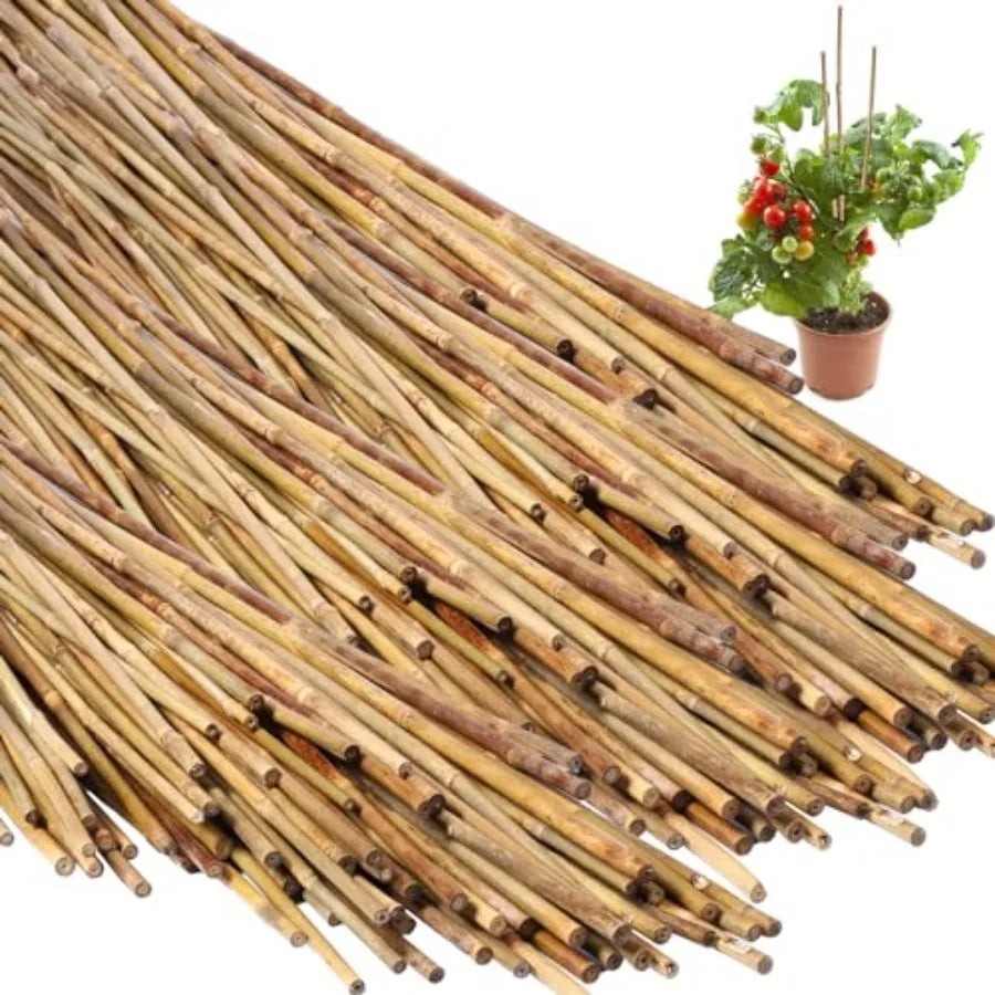 Bamboo Plant Stakes Natural Garden Support Sticks for Climbing Plants Sturdy Bamboo Garden Stakes for Tomato Beans Flowers and
