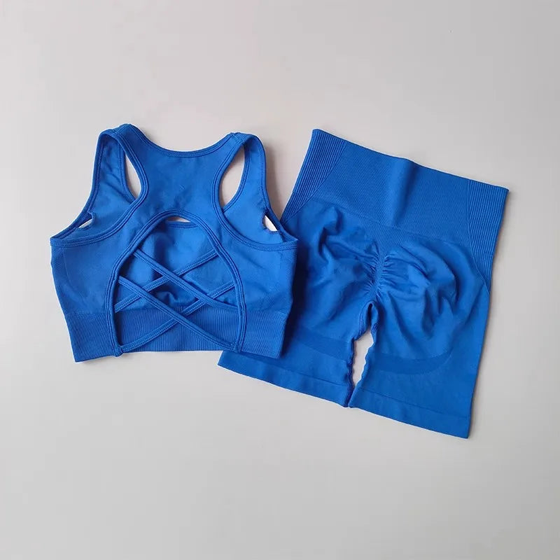 Summer Women's Seamless 2 Piece High Waist Yoga Set Stretchy Fabric Sport Bra Shorts for Gym Workout