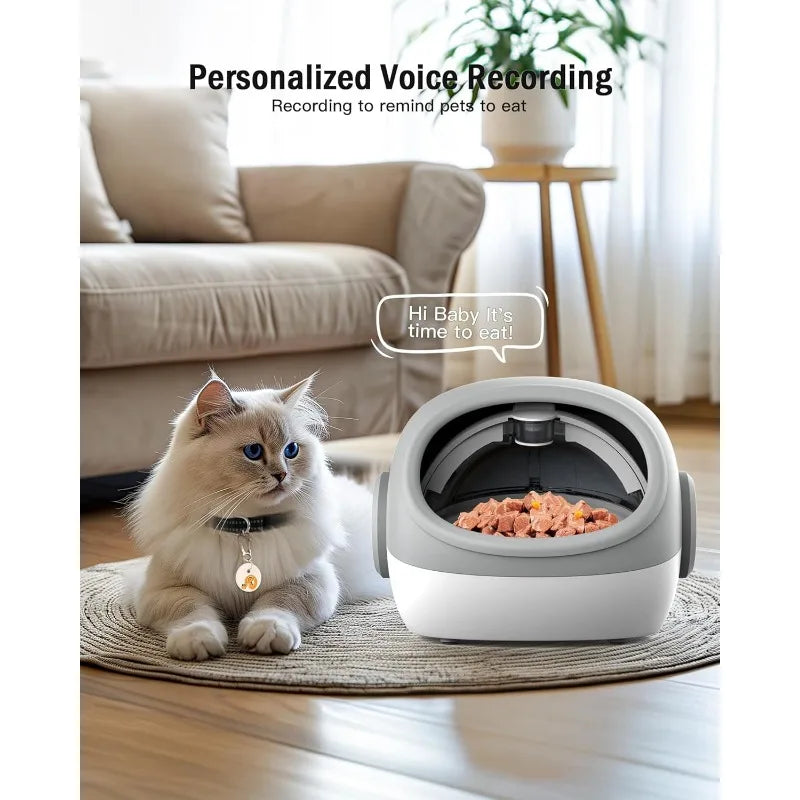 Automatic Cat Feeder with Microchip - Prevents Food Stealing