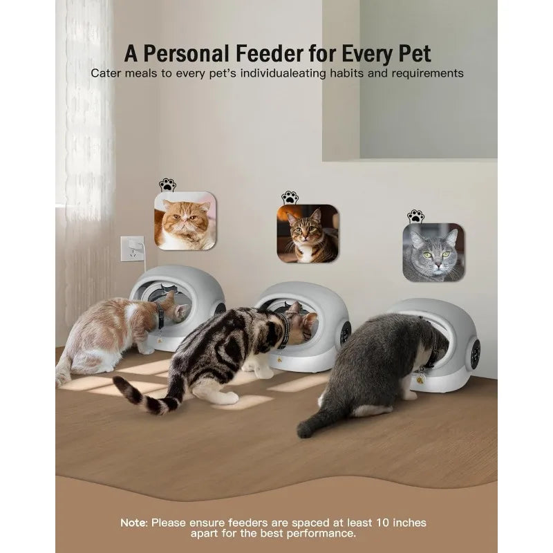 Automatic Cat Feeder with Microchip - Prevents Food Stealing
