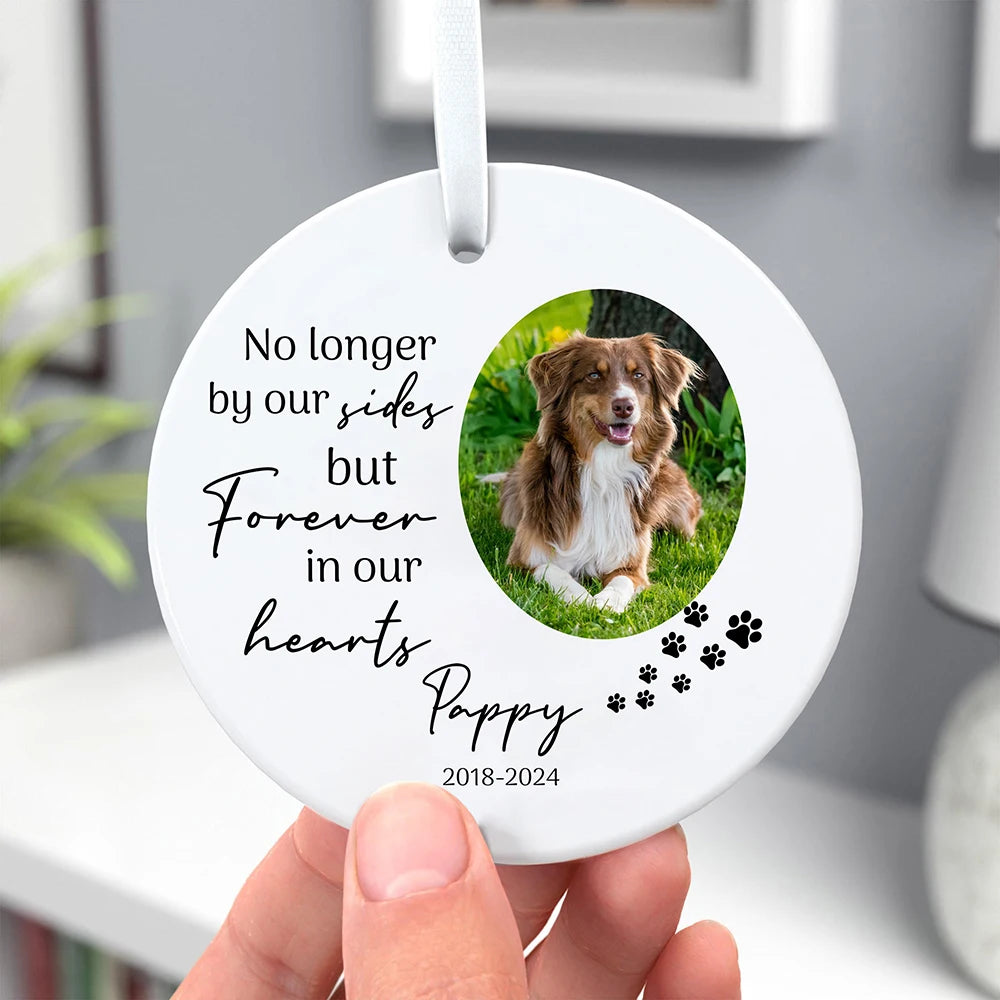 Personalized Pet Cat Dog Memorial Ornament Custom Dog Ornament Christmas Gifts for Dog Owners Pet Lovers Room Decor