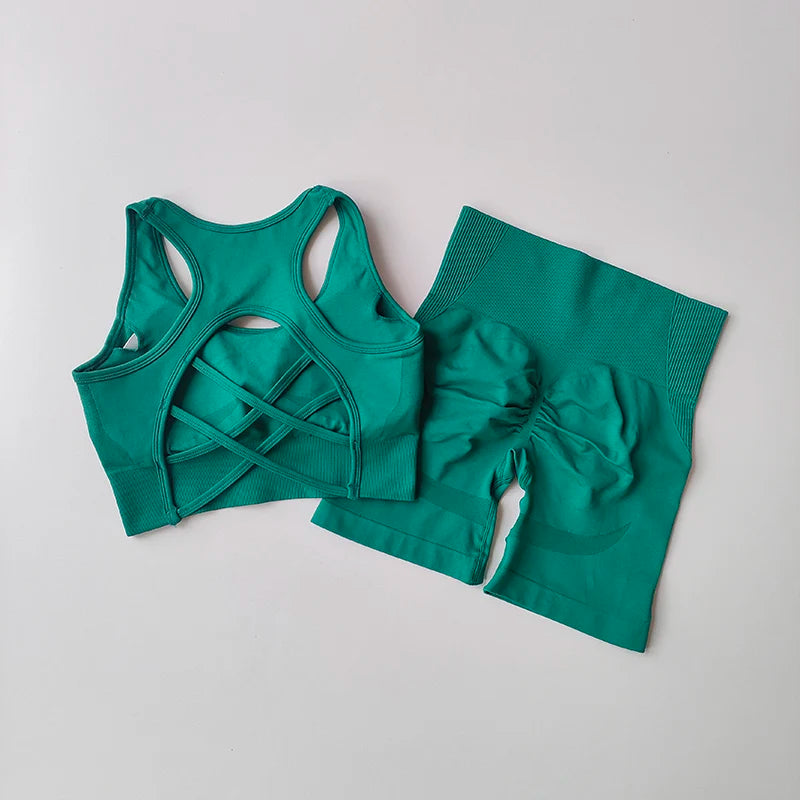 Summer Women's Seamless 2 Piece High Waist Yoga Set Stretchy Fabric Sport Bra Shorts for Gym Workout