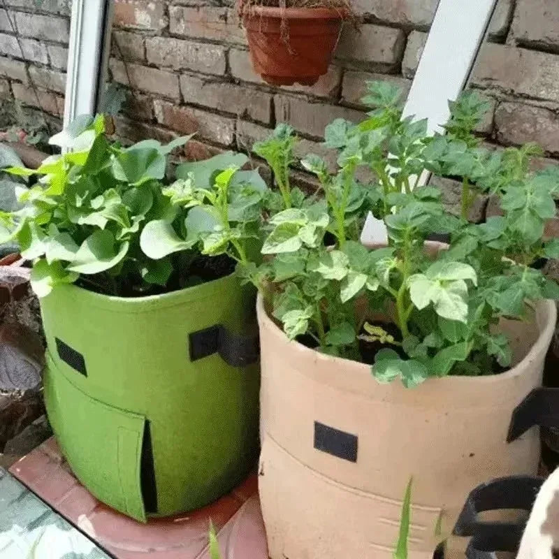3Styles Felt plant grow bags nonwoven fabric garden potato pot greenhouse vegetable growing bags moisturizing vertical tools