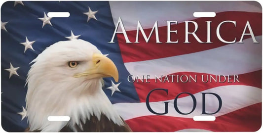 Bald Eagle American Flag car Front Tin Sign,Patriotic Plates,Decorative Signs, Auto Tag,USA Sign Frame Cover (Bald Flag)