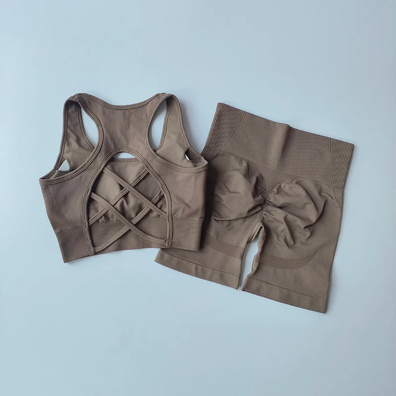 Summer Women's Seamless 2 Piece High Waist Yoga Set Stretchy Fabric Sport Bra Shorts for Gym Workout