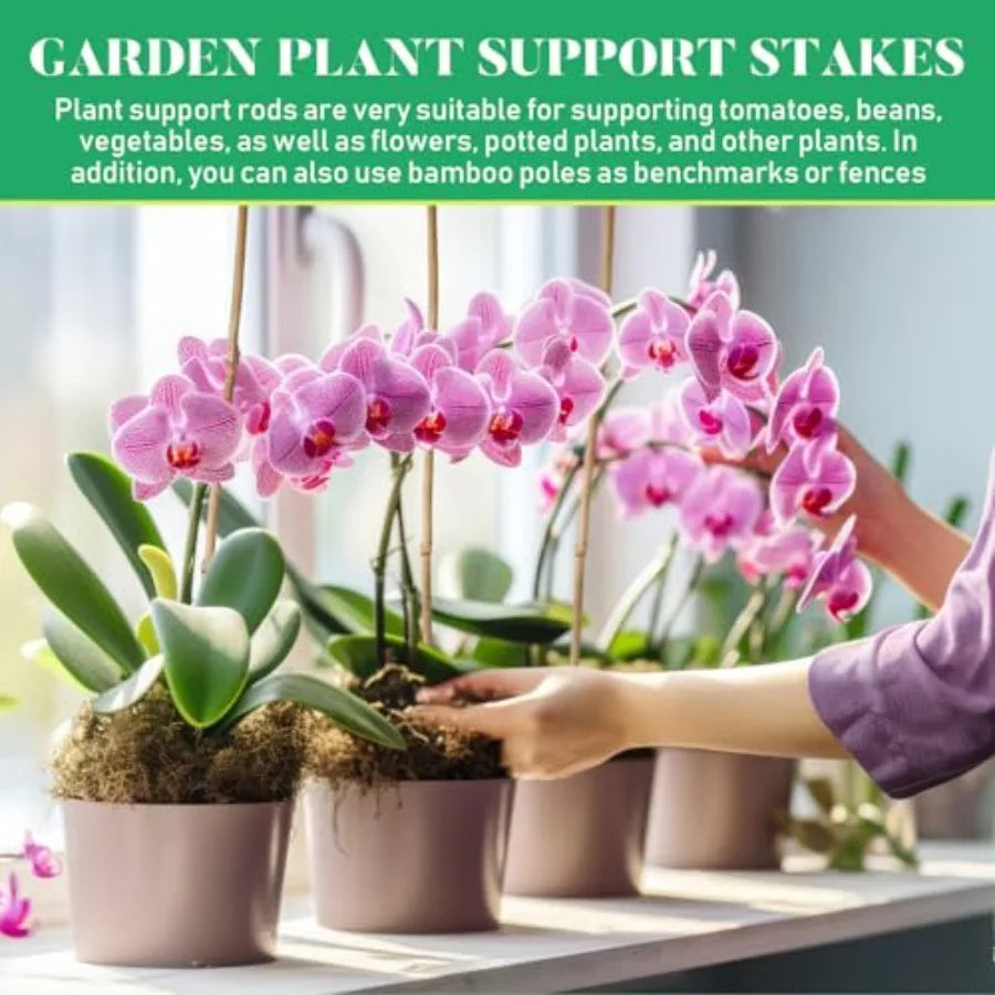 Bamboo Plant Stakes Natural Garden Support Sticks for Climbing Plants Sturdy Bamboo Garden Stakes for Tomato Beans Flowers and