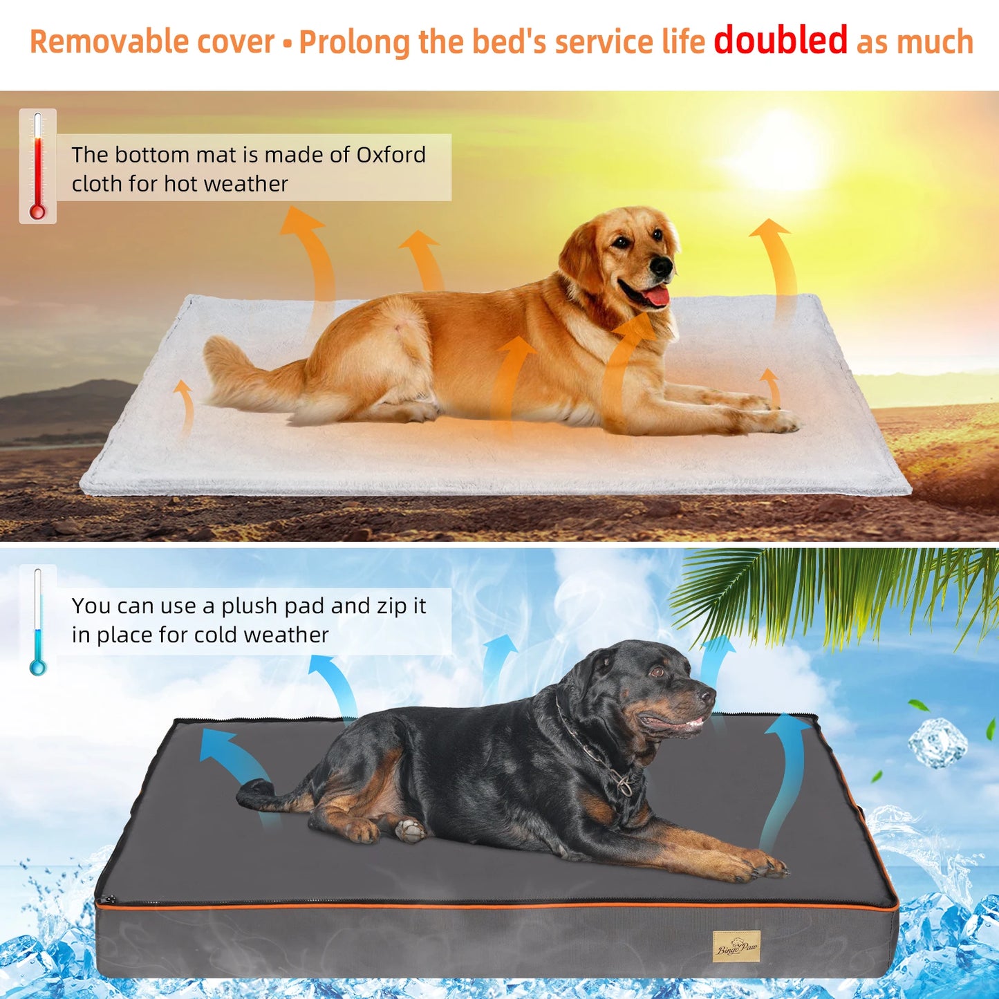 Large Orthopedic Dog Bed with Padded Foam Cushion and Washable Cover