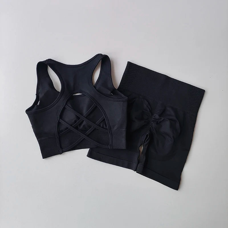 Summer Women's Seamless 2 Piece High Waist Yoga Set Stretchy Fabric Sport Bra Shorts for Gym Workout
