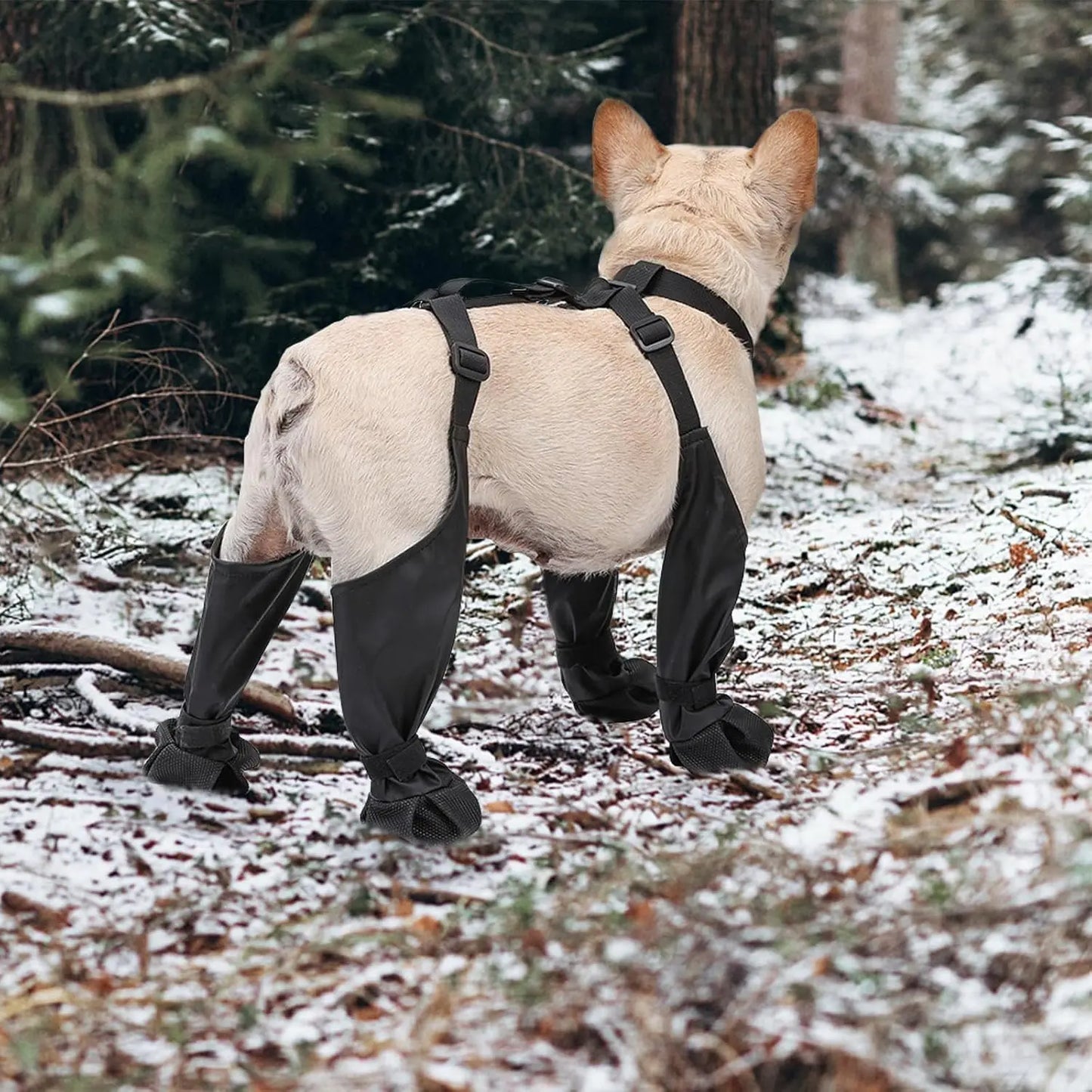 Outdoor Walking Dog Boot Leggings for Small Medium Large Dogs
