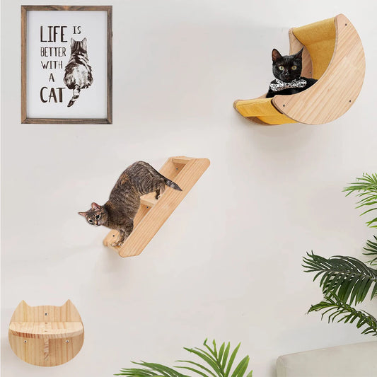 Moon Shaped Cat Wall Shelf And Perch Climbing Steps