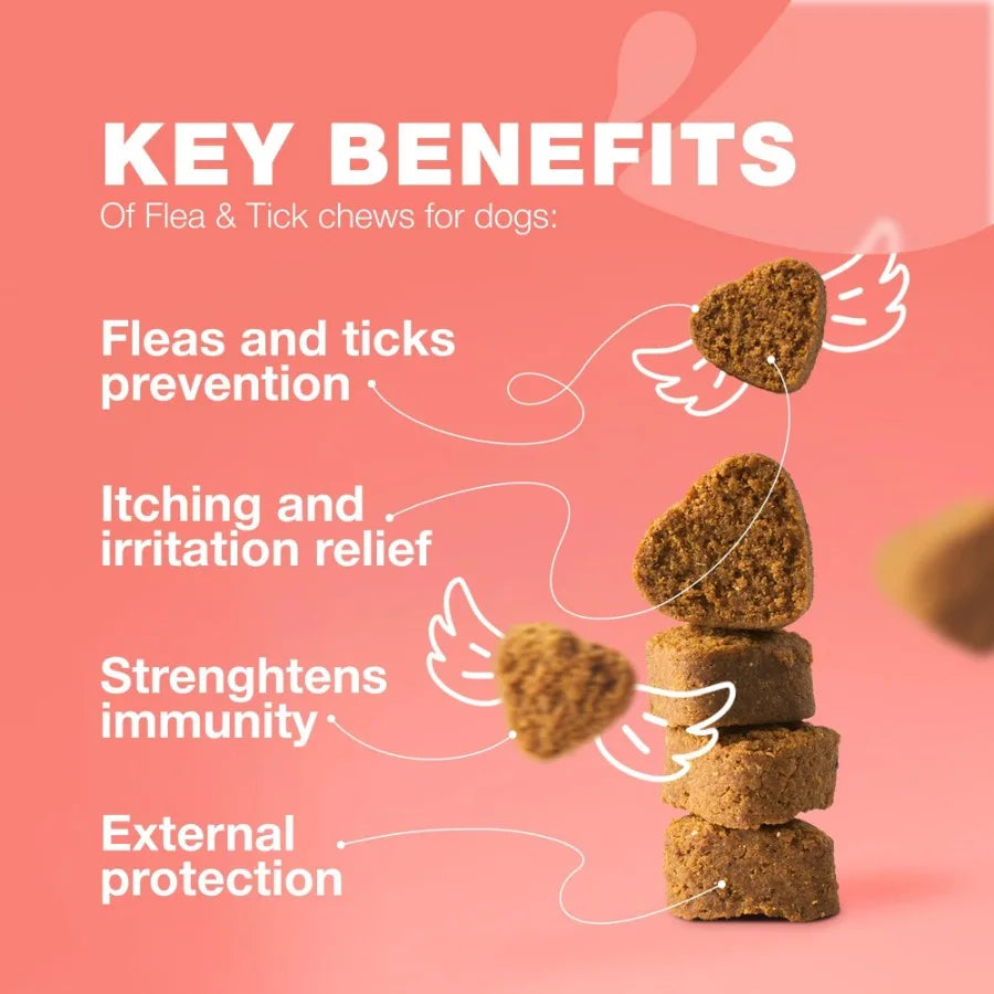 Flea And Tick Treatment Chews For Dogs Natural Preventive