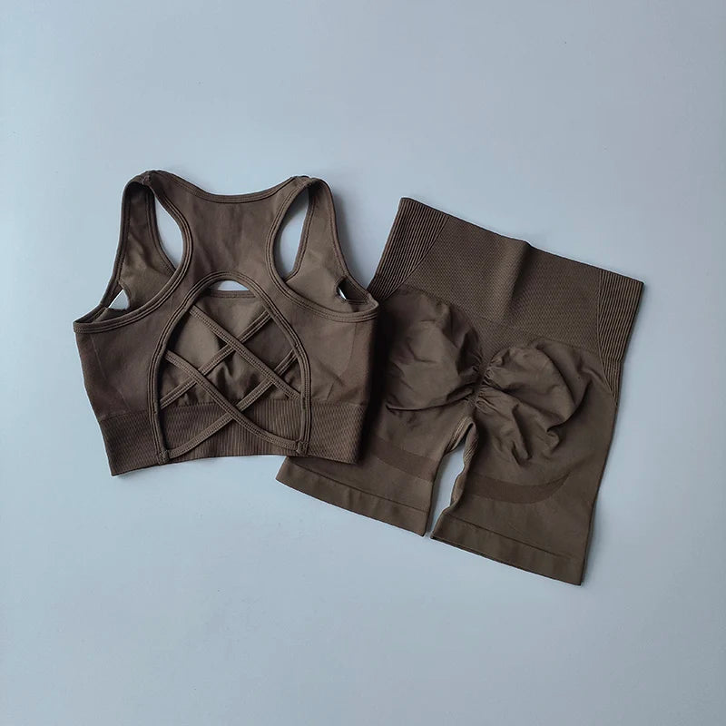 Summer Women's Seamless 2 Piece High Waist Yoga Set Stretchy Fabric Sport Bra Shorts for Gym Workout